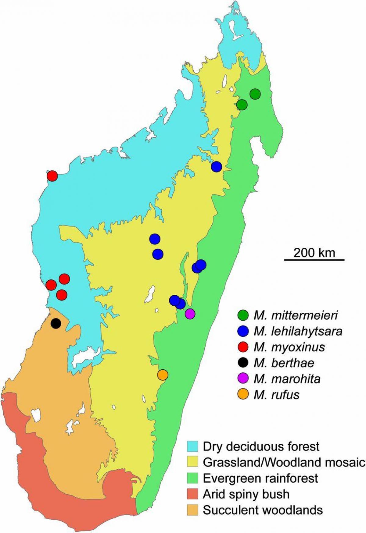 bản đồ của Madagascar rừng nhiệt đới