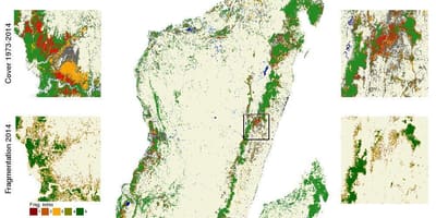 Bản đồ của Madagascar phá rừng