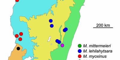 Bản đồ của Madagascar rừng nhiệt đới