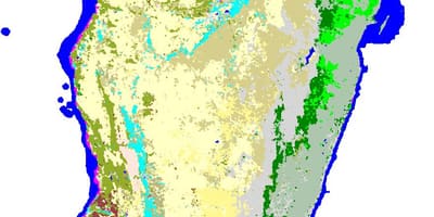 Bản đồ của Madagascar thảm thực vật