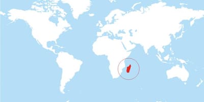 Bản đồ của Madagascar vị trí trên thế giới
